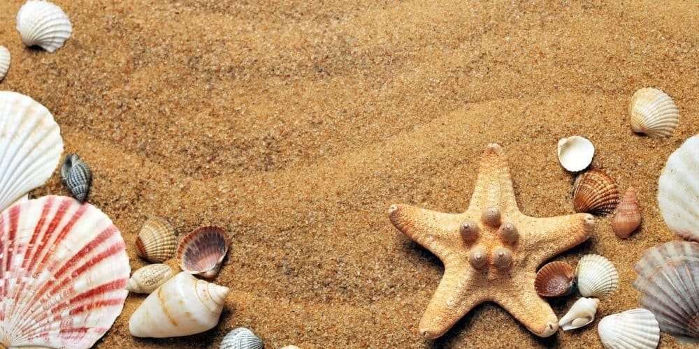 emprendimiento y vacaciones